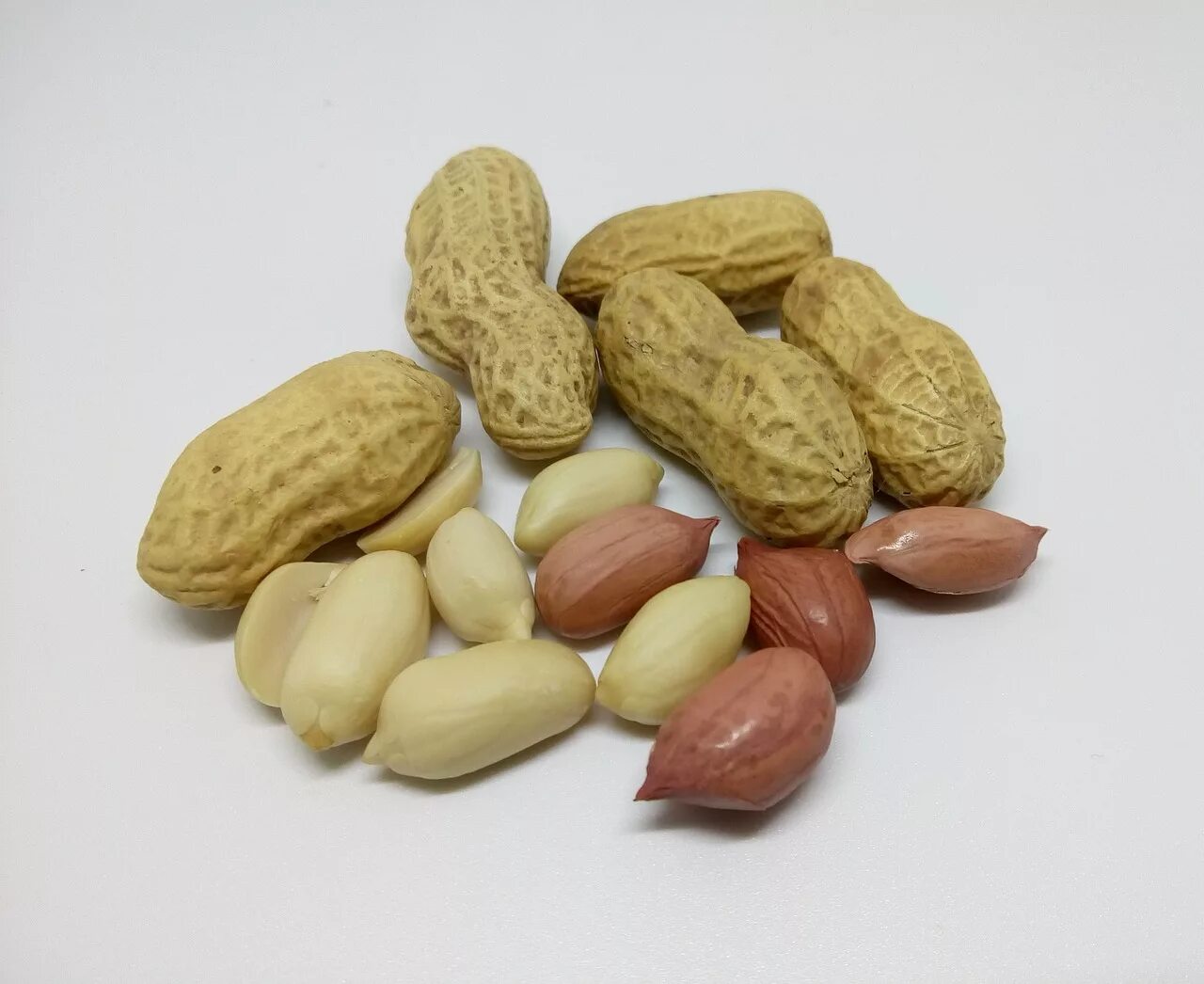 Арахис peanuts. Арахис культурный земляной орех. плод арахиса. земляные орешки.