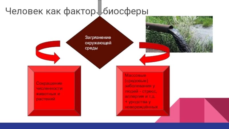 Биосфера и человек 11 класс. Человек как фактор в биосфере. Взаимоотношения человека и природы как фактор развития биосферы. Взаимосвязь человека и биосферы. Роль человека в эволюции биосферы.