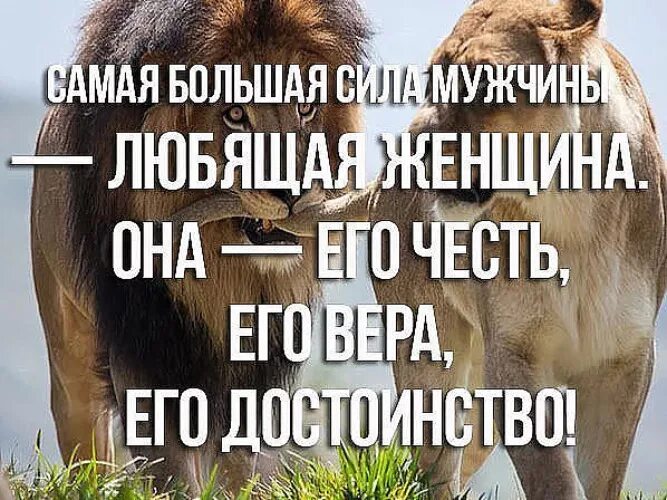 Моя честь цитаты. Самая большая сила мужчины. самая большая сила мужчины это его женщина. самая большая сила мужчины любящая женщина. лев цитаты.