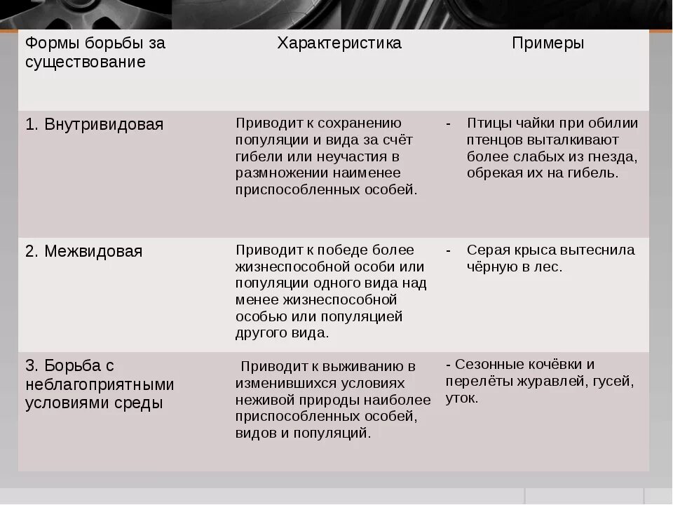 Формы борьбы за существование. Характеристики форм борьбы за существование и естественного отбора. Таблица по биологии формы борьбы за существование. Таблица по биологии 9 класс формы борьбы за существование. Формы борьбы за существование таблица с примерами.