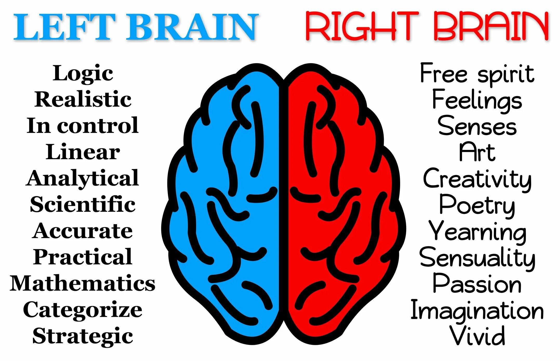 Brain vs brain. Left and right Brain. Left Brain vs right Brain. Левое и правое полушарие мозга. Left right Side of Brain.