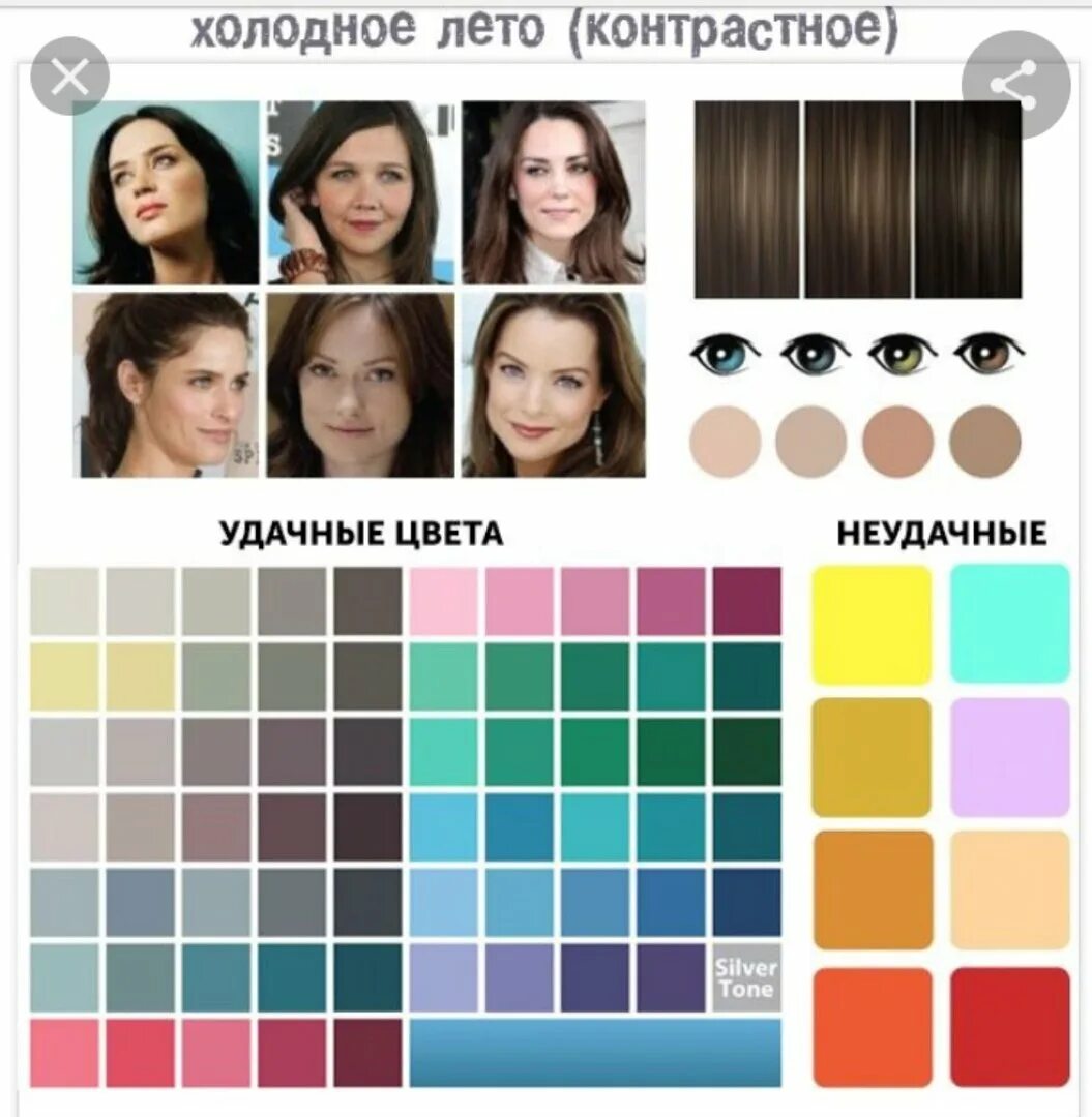 Soft summer цветотип. Кристен стюарт цветотип внешности. Макияж для цветотипа мягкое лето. Цветотип внешности лето палитра. Цветотип теплое лето палитра в одежде.