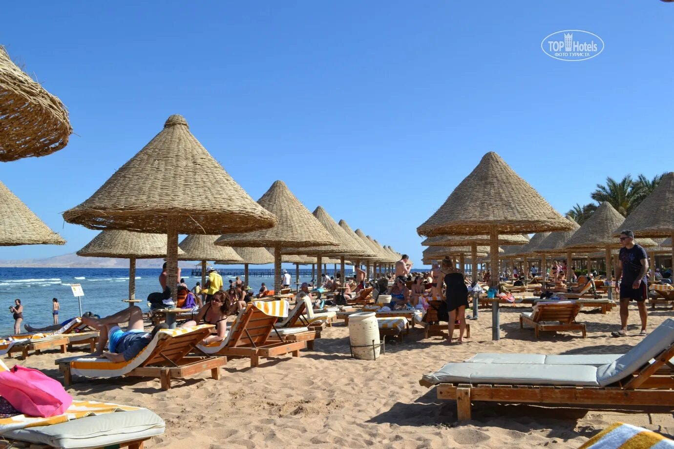 Sharm 5 отзывы. Гранд Плаза Шарм-Эль-Шейх. Шарм Гранд Плаза Резорт Шарм-Эль-Шейх. Sharm Grand Plaza 5*. Sharm Grand Plaza Resort пляж.