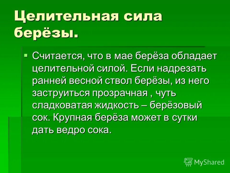 Канакина русский язык 3 класс 2 часть страница 76 ответы. Берёзка стихотворение. Разбор предложения на краю обрыва стояла береза. Форма листьев березы. Лист березы сбор.