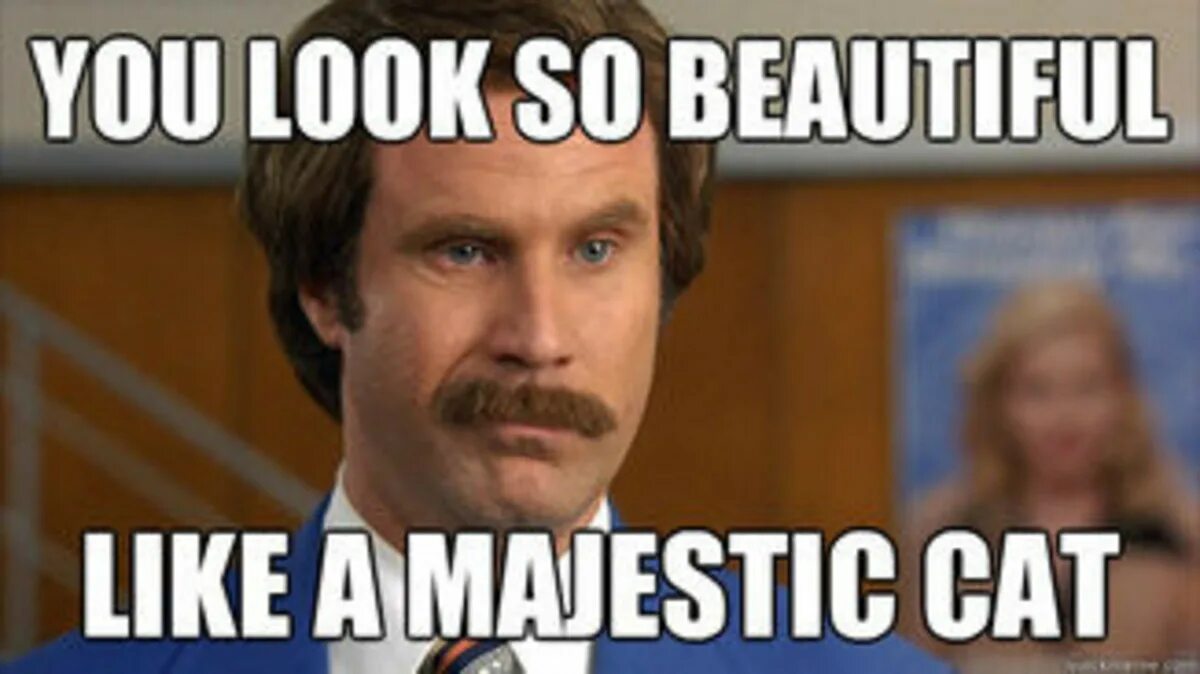 You can be the beauty. Its beautiful Мем. Бьютифул Мем. So beautiful Мем. Мем you re beautiful.