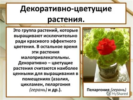 Декоративное описание