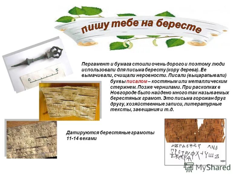 Общее название к словам пергамент береста бумага. Пергамент береста бумага. Общее название к словам пергамент береста бумага. Подобрать общее название к словам пергамент береста бумага. Пергамент береста бумага.