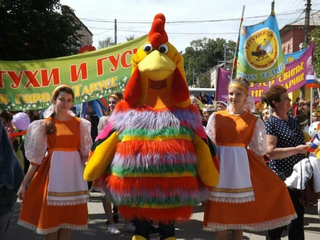 Таруса петухи гуси. Петухи и гуси в городе тарусе фестиваль. фестиваль петухи и гуси в городе тарусе 2025. петушиный фестиваль.