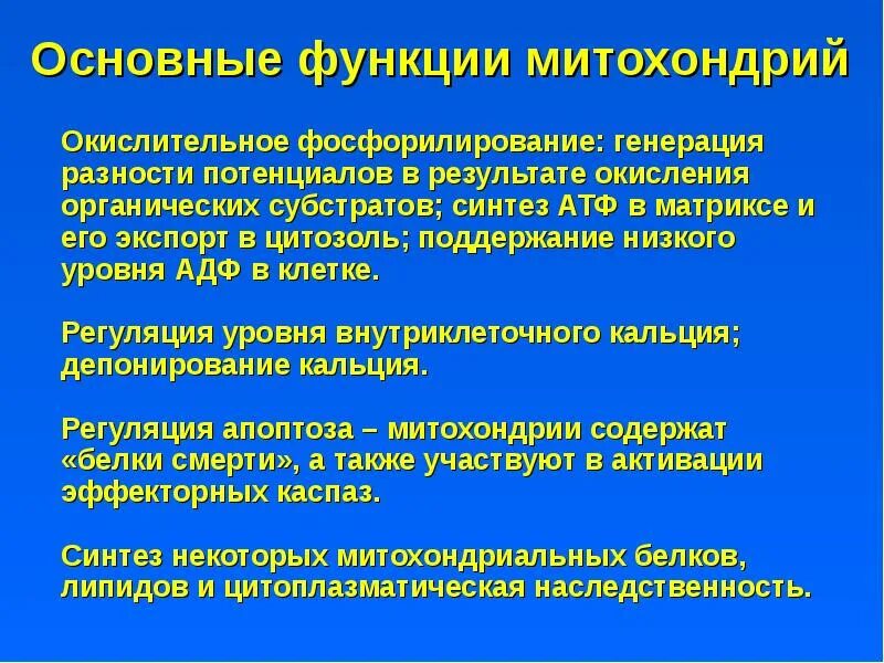 Митохондрии выполняют следующие функции. Основные функции митохондрий. митохондрии функции функции. главные функции митохондрии.