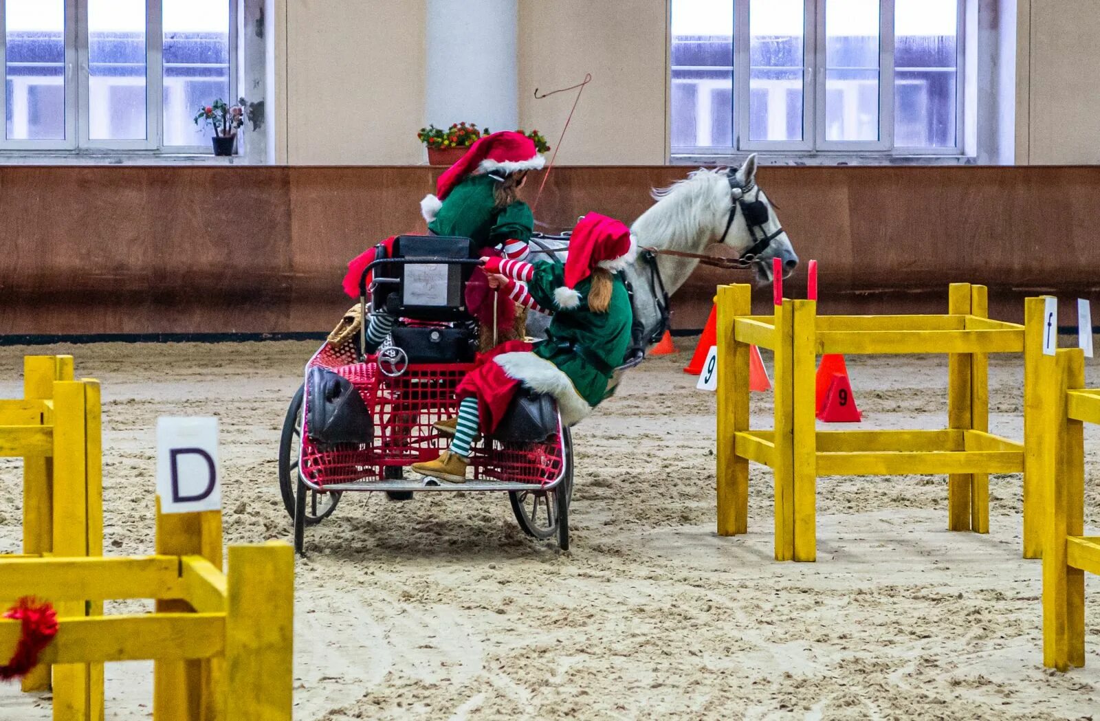 космический челнок клипер. кущеватый лиман базы отдыха. кущеватый лиман. охота с борзыми собаками. драйвинг конный спорт.