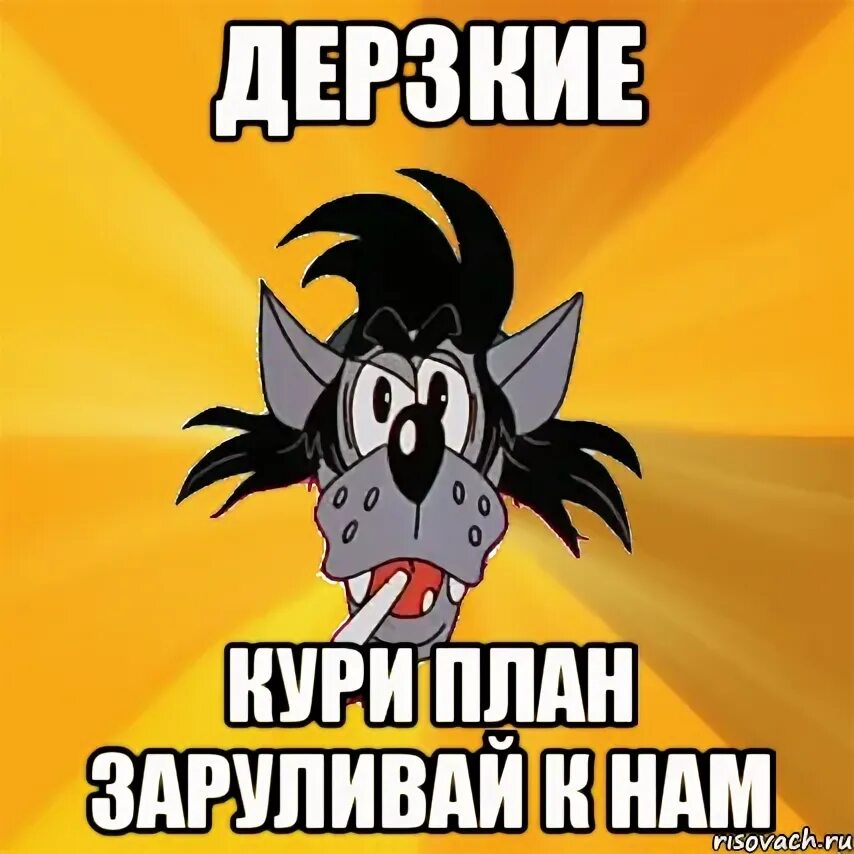 Курнул но вроде не навоз как называется. Мем волк ОП ОП. План курнем. Мем дерзкий план.