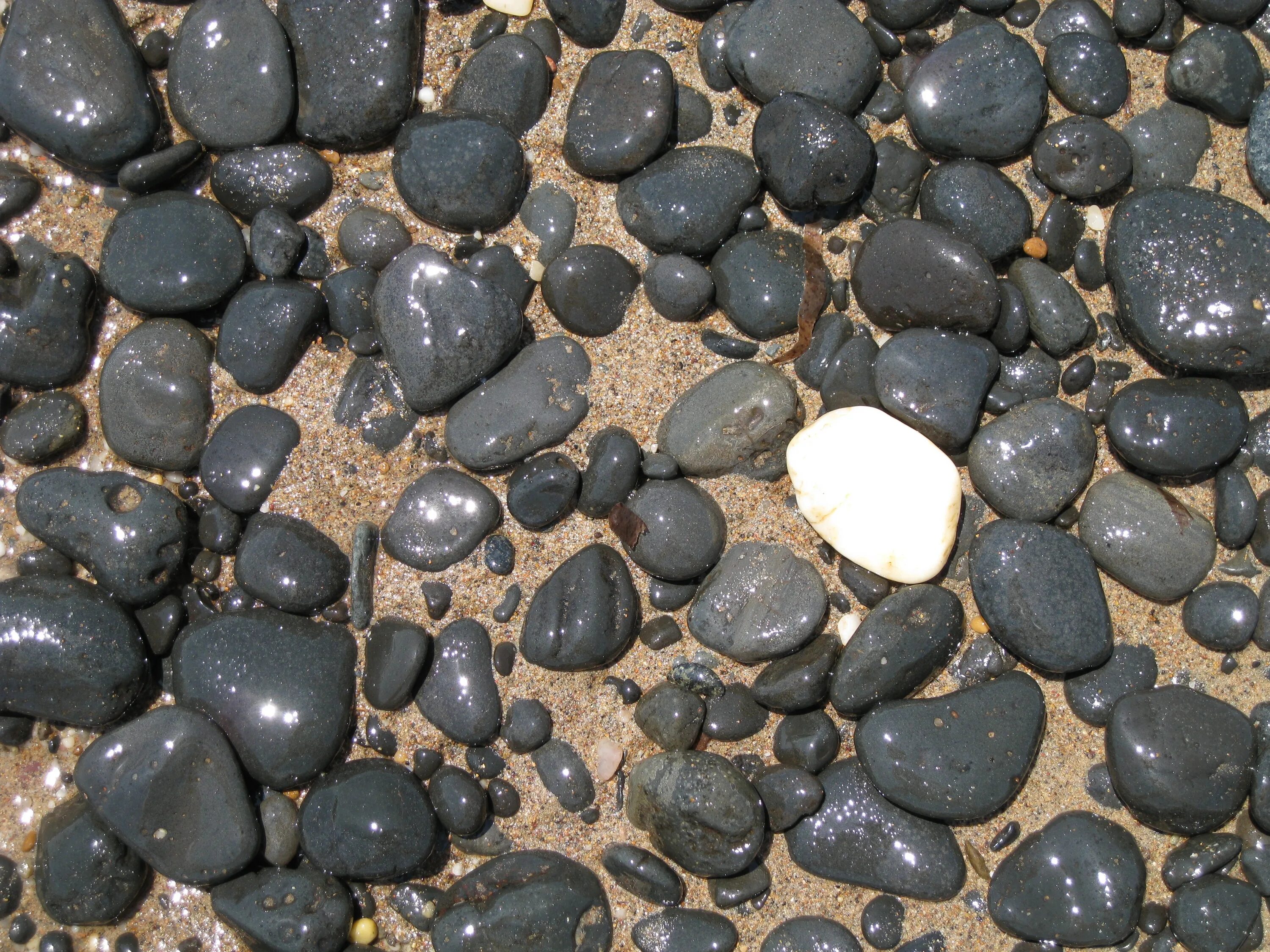 Галька коричневая. Черная галька. Черные морские камни. Камни черного моря.