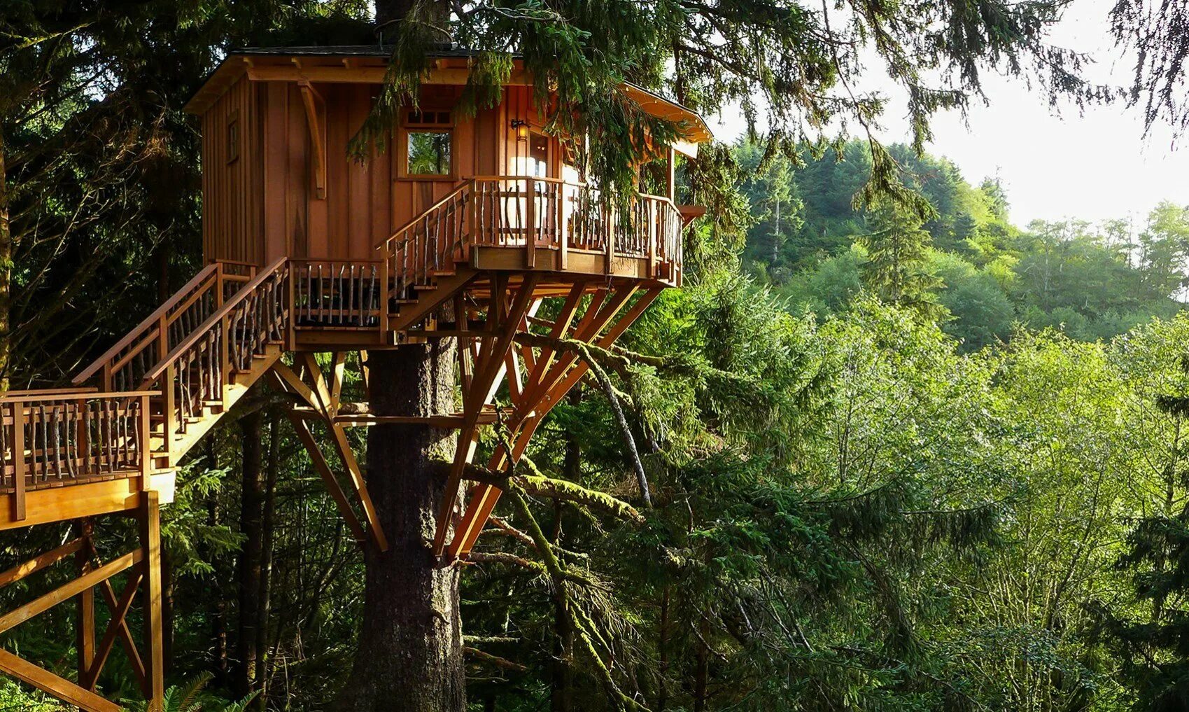 Алникский дом на дереве. Дэна Мелани домик на дереве. Treehouse Hotel Wales. Деревянный домик на дереве.