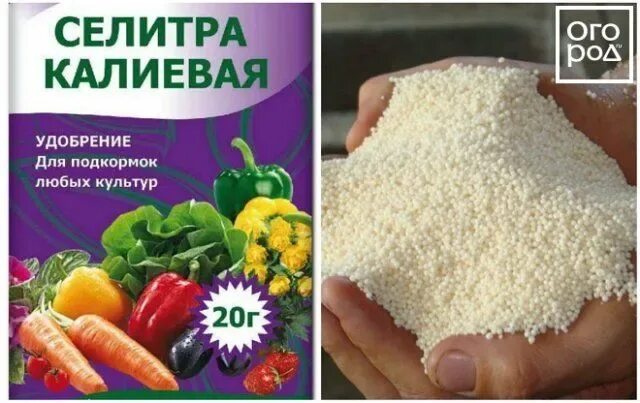 Нитрат калия использование. Нитрат калия (калийная селитра). удобрение селитра калиевая 0,5кг (нитрат калия). селитра калиевая с микроэлементами 20гр. калиевая селитра удобрение формула.