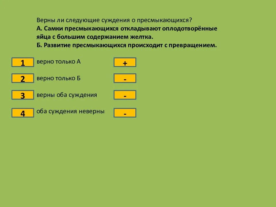 Верны ли следующие суждения о пресмыкающихся. Верны ли следующие суждения о пресмыкающихс. Пресмыкающиеся откладывают яйца с большим содержанием желтка. Пресмыкающихся происходит с превращением.