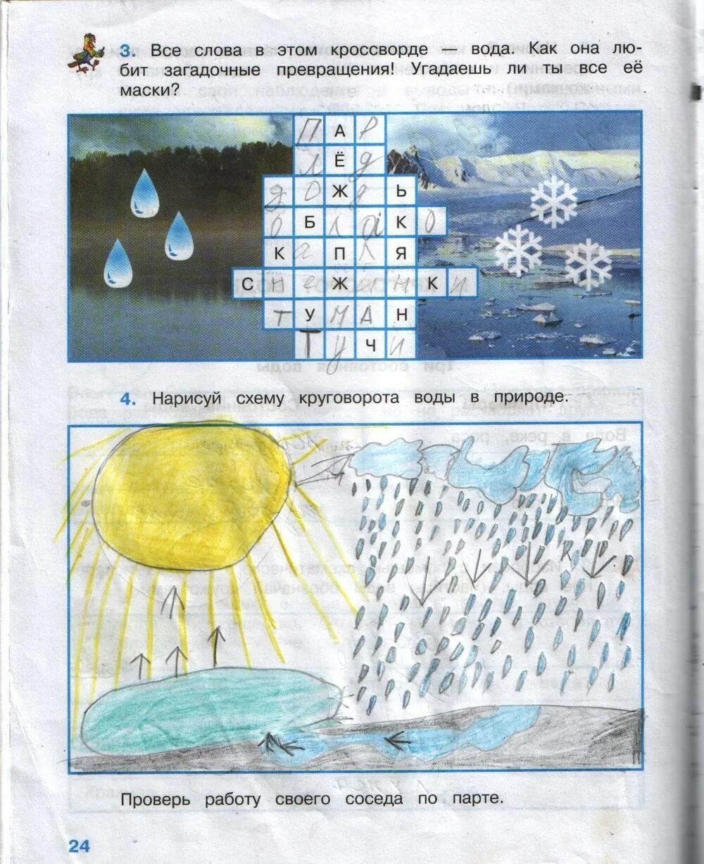 Окружающий мир 3 класс рабочая тетрадь 1 часть стр 33 номер 1 ответы. Окружающий мир 3 класс рабочая тетрадь 1 часть стр 24 ответы. Окружающий мир 3 класс рабочая тетрадь 1 часть Плешаков стр 24. Окружающий мир 1 класс рабочая тетрадь 1 часть стр 24 ответы Плешаков.
