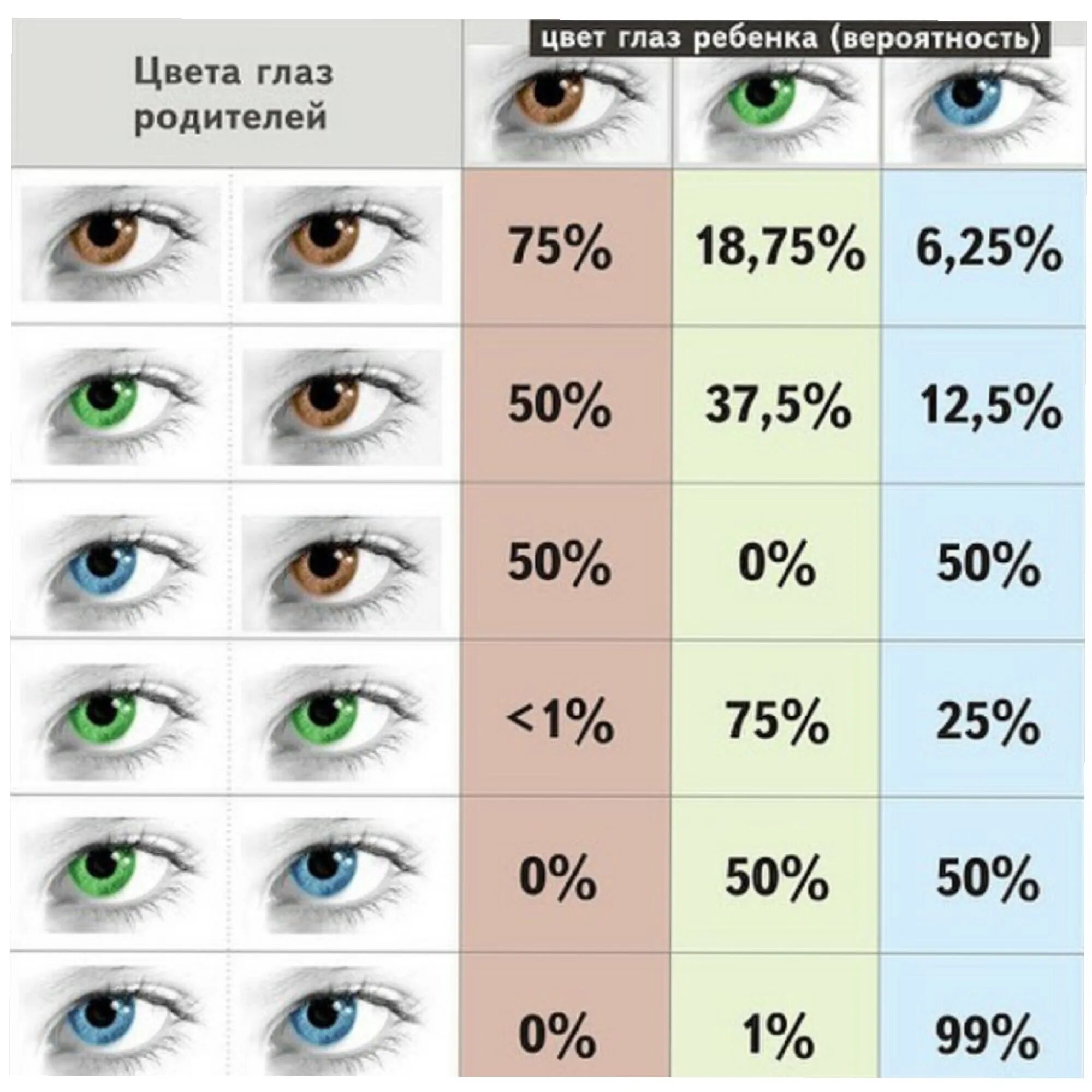 Таблица цвет глаз ребенка по цвету глаз родителей. Какие глаза будут у ребенка если у родителей карие и зеленые. Если у родителей голубые глаза какие будут у ребенка. Какой цвет глаз будет у ребенка таблица.
