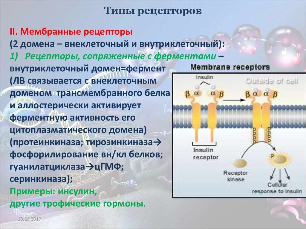 Мембранные рецепторы биохимия. Типы мембранных рецепторов. Строение мембранного рецептора. Взаимодействие с мембранными рецепторами.