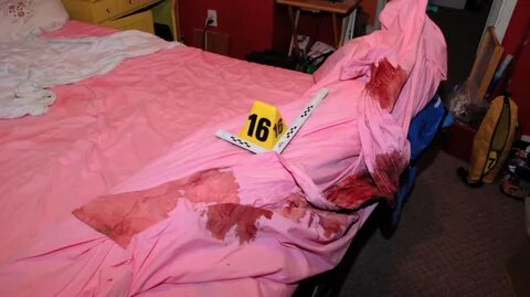 Gypsy rose blanchard crime scene ❤ Best adult photos at amagase.info