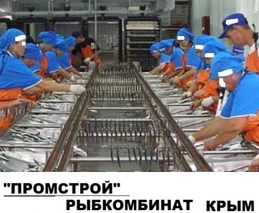 Теремок работники. Шахты работа вакансии без опыта работы. Вакансия требуются уборщица. Шахты работа вакансии без опыта работы. Вакансии без опыта работы.