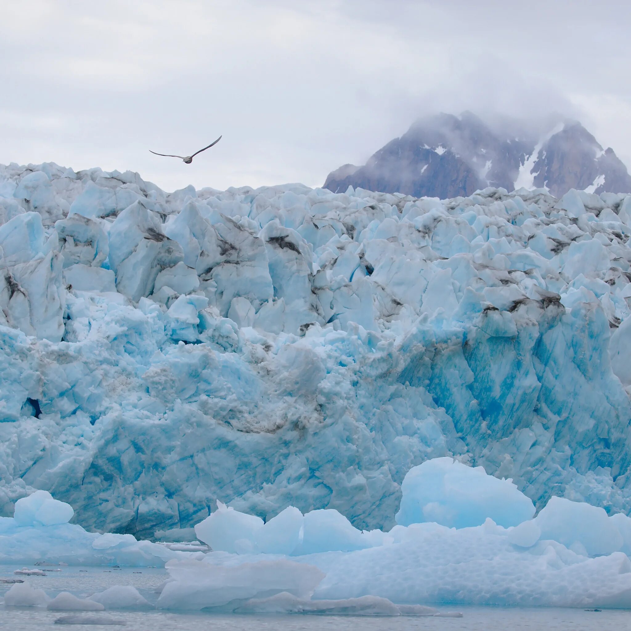 Черное море зимой. Зимнее море голубое. Пляж волны. Снежное море. Карское море ледники.
