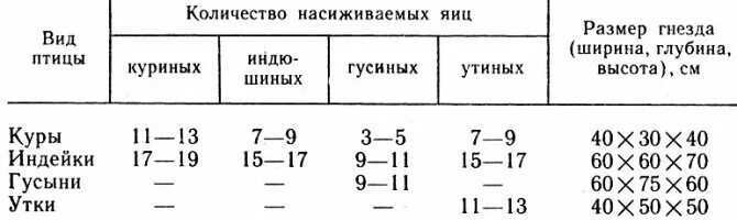 Гнезда для высиживания яиц куриных. Сколько нужно подложить яиц под квочку. Ячейка для утиных яиц. Ячейки для инкубации гусиных яиц.