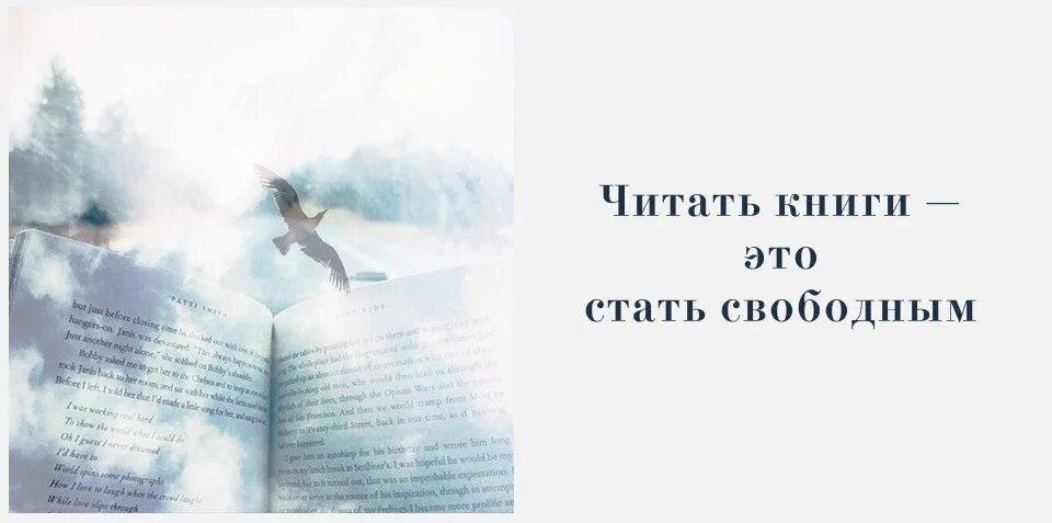 Быть свободным книга. Цитаты про книги. Цитаты из книг в картинках. Стать свободным. Свободные книга.