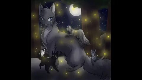 Котенок фанфик