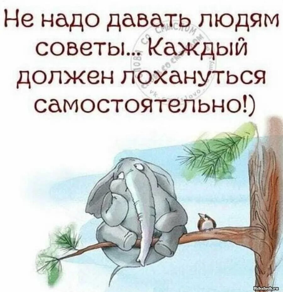 Про смысл жизни с юмором. Афоризмы с юмором. смешные цитаты. цитаты с юмором. картинки с цитатами прикольные.