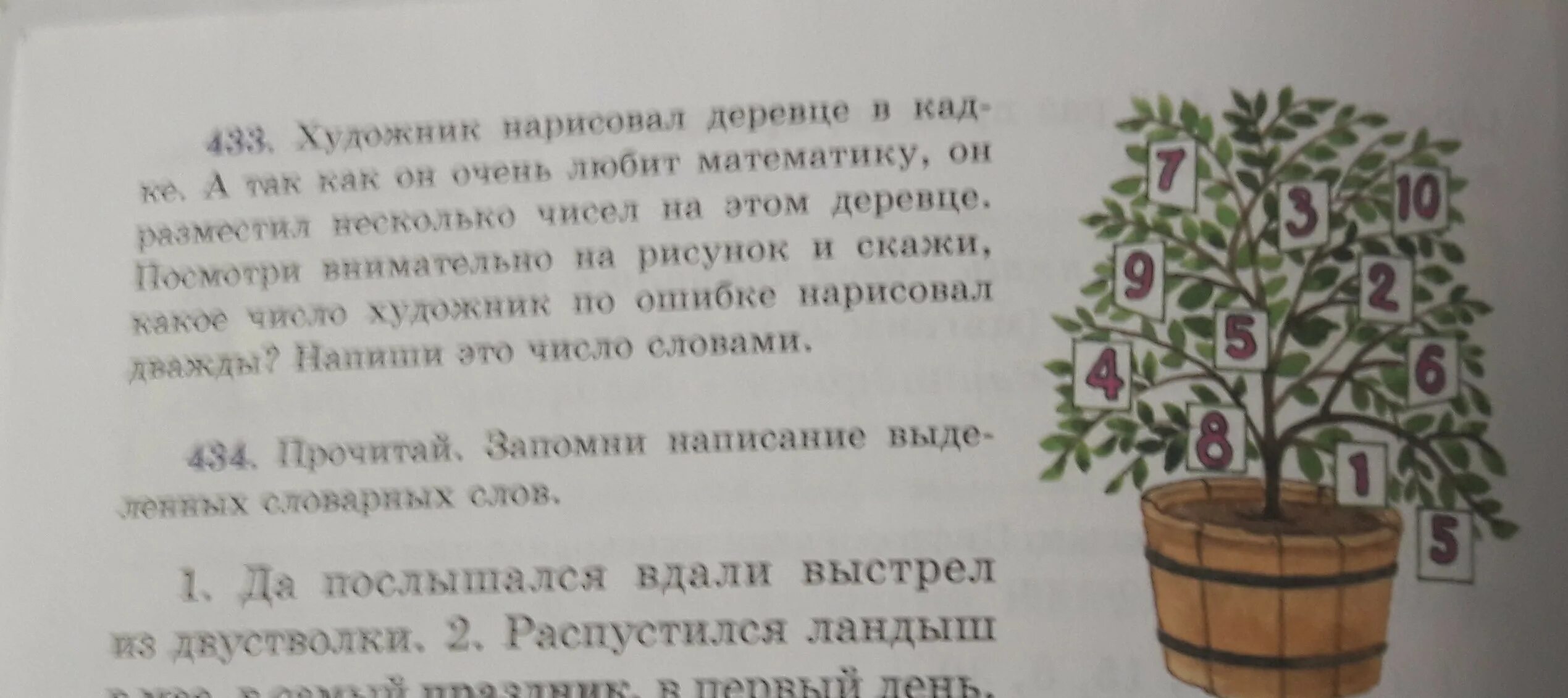 Не посаженные деревья как пишется. По русскому языку сочинение как посадить дерево. Связный текст на тему как посадить деревце. Сочинение на тему посадить дерево. Как вырастить дерево сочинение.