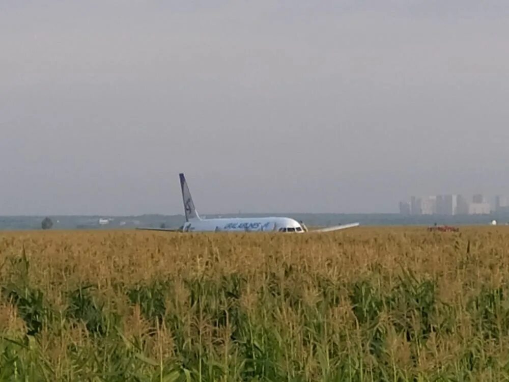 Крушение а321 уральские авиалинии. А321 уральские авиалинии кукурузное поле блогер. Аэробус в пшеничная поля. Посадка на кукурузное поле а 321. Самолет в поле 2023.