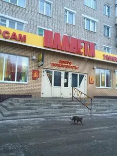 Победа канаш