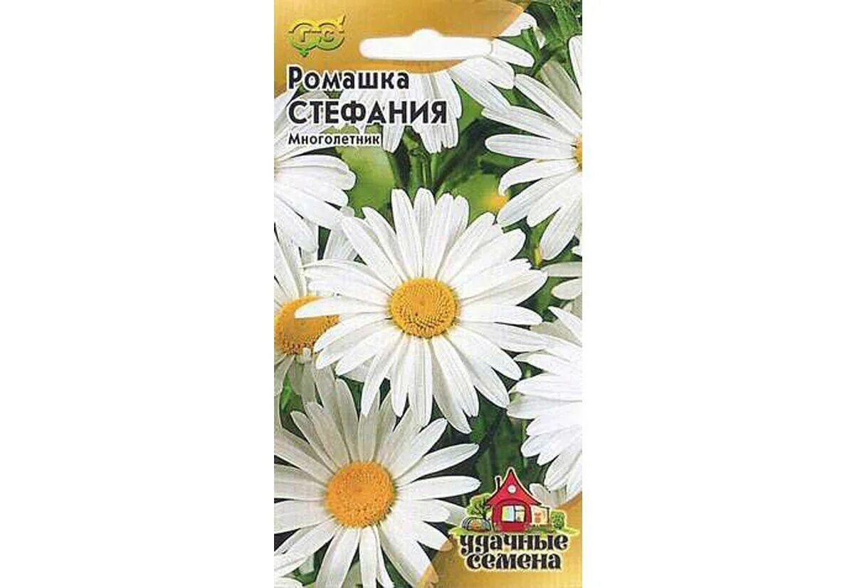 Семена ромашек многолетних. Ромашка многолетняя садовая семена. Ромашка садовая северная звезда. Нивяник аляска. Ромашка аптечная семена.