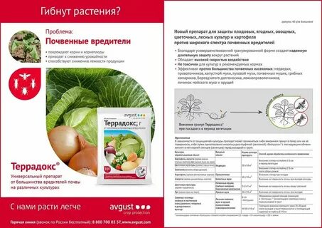 Террадокс