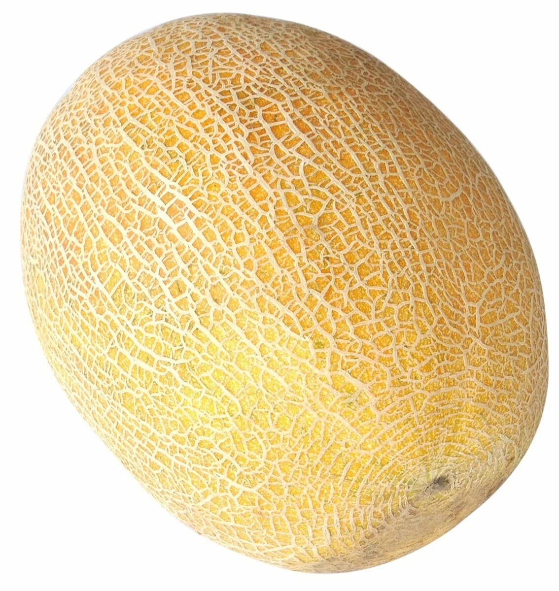 Амал f1 семена дыни (clause / клос). Дыня амал. Дыня астрид. Дыня f1 раймонд. Дыня азовка.