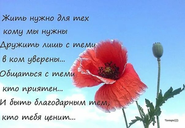 Красивые слова женщине в стихах просто так