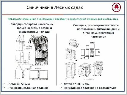 Синичник размеры