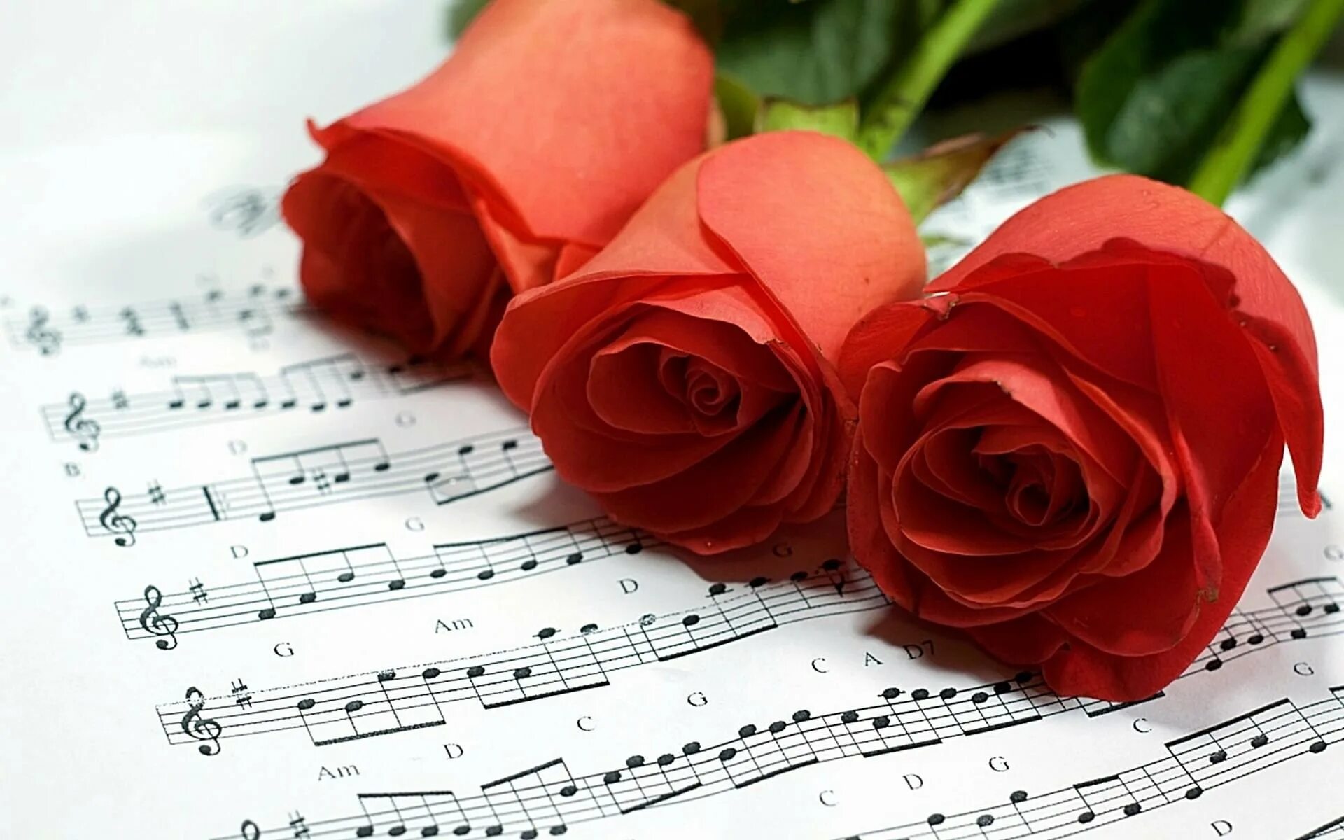 Слушать песню пожелания. Музыкальный цветок. Открытка музыканту. Музыкальный букет цветов. Ноты и цветы.