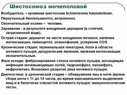 Хозяин возбудителя