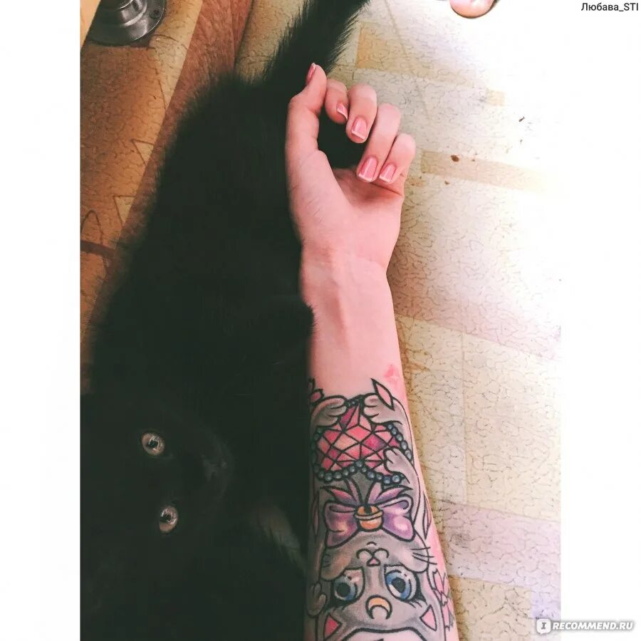 Я хочу тату. Хочу тату но. Акция тату. Хочу тату. Хочу тату но.