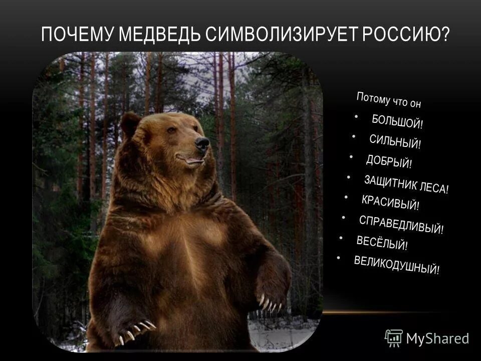 Неофициальный символ россии медведь. Медведь Россия. Цитаты про медведя. Русский медведь символ России. Неофициальные символы России медведь.