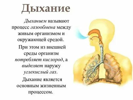 Время слова дышит