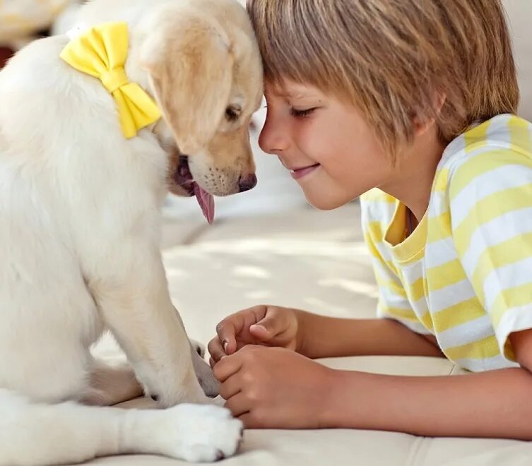Дети ухаживают за животными. Домашние животные для детей. Любовь к домашним животным. Собака для детей. Забота о животных.