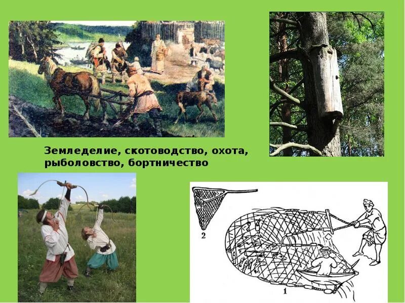 Занятия восточных славян земледелие. Бортничество восточных славян. земледелие скотоводство охота бортничество. занятия славян бортничество. охота, рыболовство, скотоводство, бортничество-.