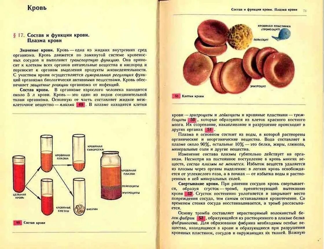 Густая кровь в организме. Сгущение крови причины. Как определить что кровь густая. Сгущение крови это как называется.