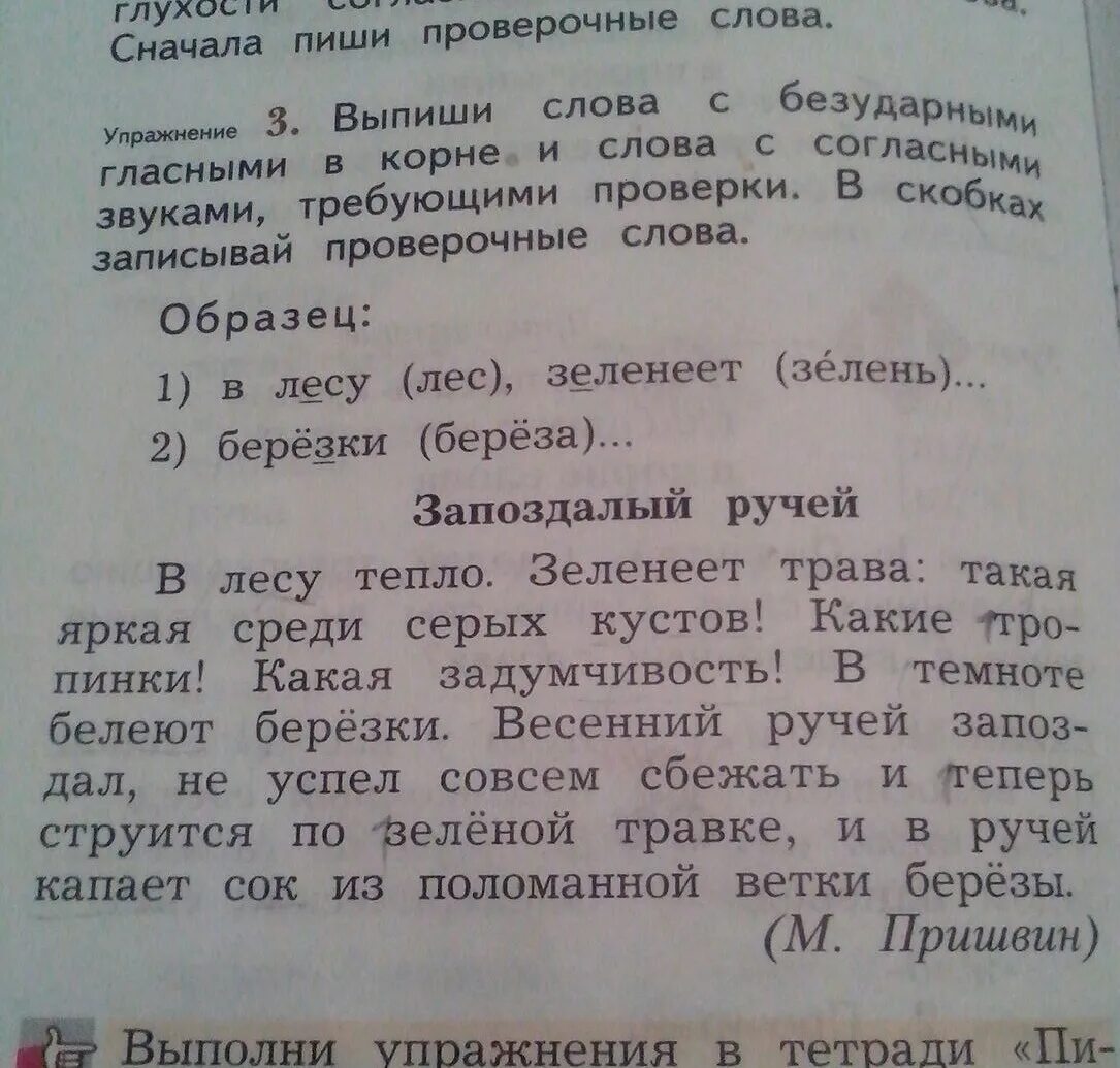 Найди и исправь ошибки в лесу