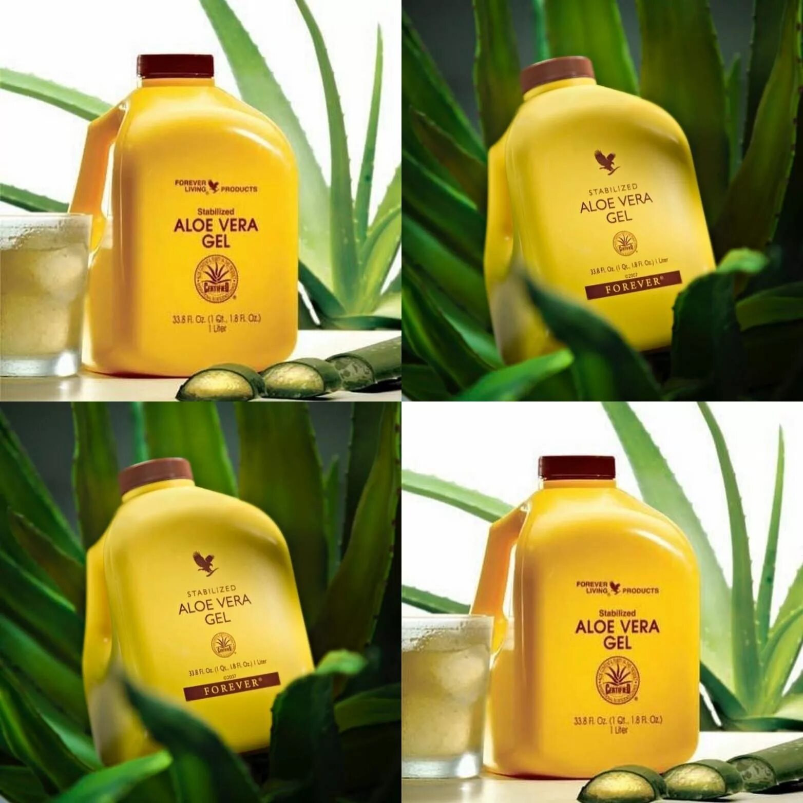 Forever aloe vera. Алоэ от Forever Living products.