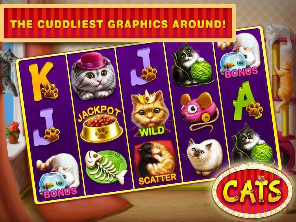 Сайт cat casino play official cat shop. Слот с котами. Слот коты казино. Слот с котами в казино. Слоты Кэт казино.