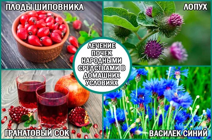 Застудила почки чем лечить у женщин. Почки застудила лекарства. как вылечить простуженные почки. лечить почки народным методом.