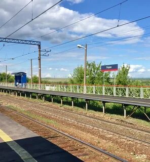 Самара ягодная сегодня